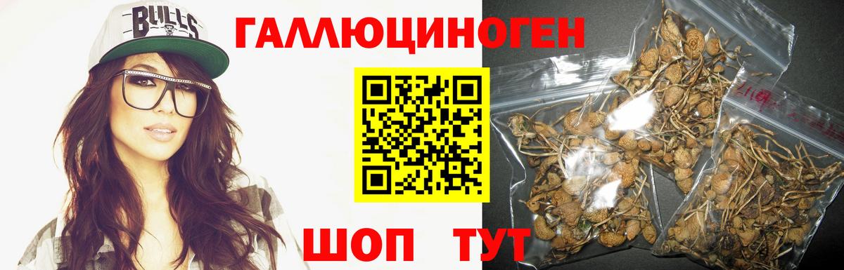 Галлюциногенные грибы мицелий  Вход с VPN  Железноводск 